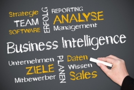 Die Business Intelligence Software